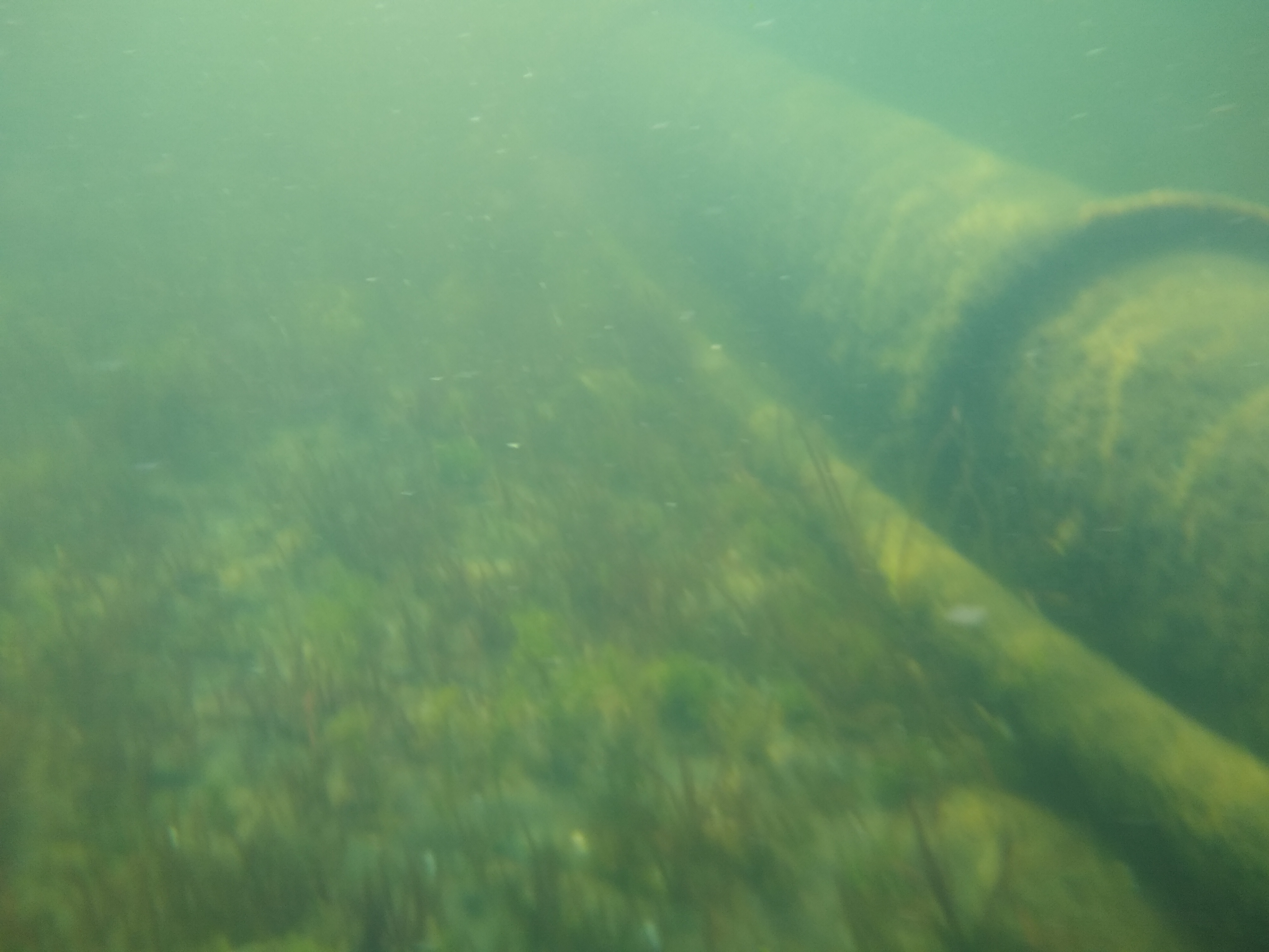 click to see larger image beach image